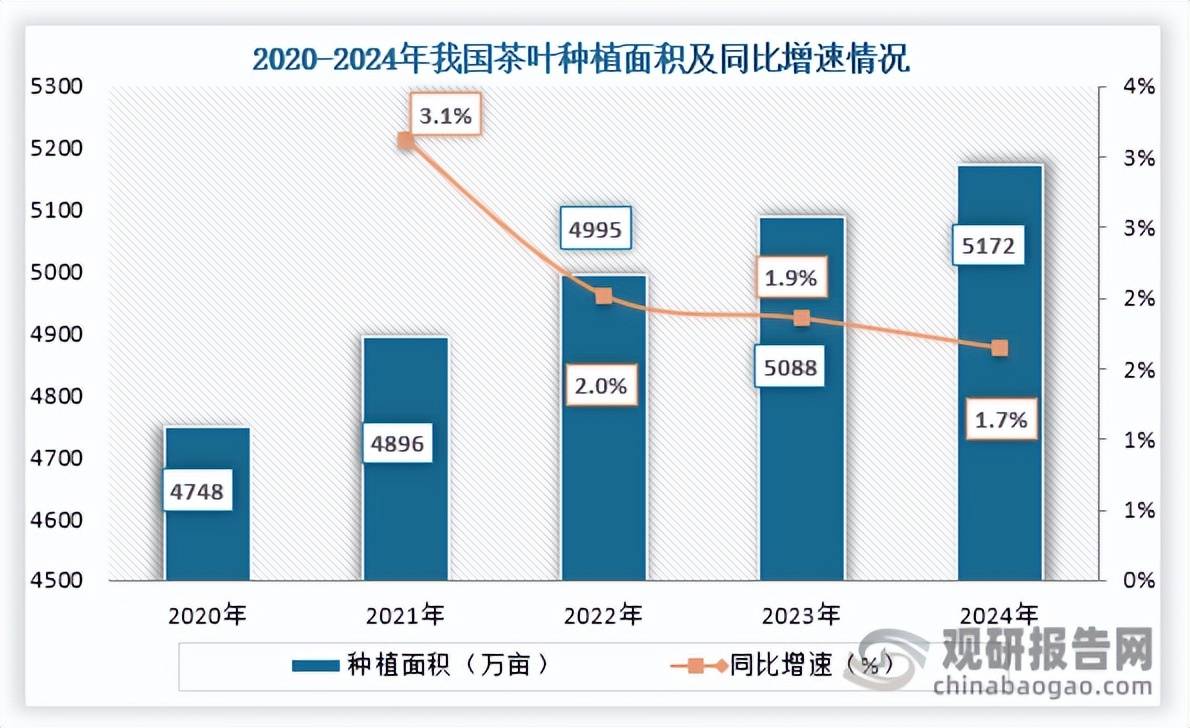 我国茶叶行业：种植面积及产量持续增长 2024年进出口数量及金额均强势回升